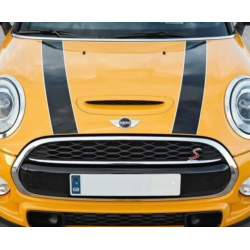 Bandes de capot (couleur au...